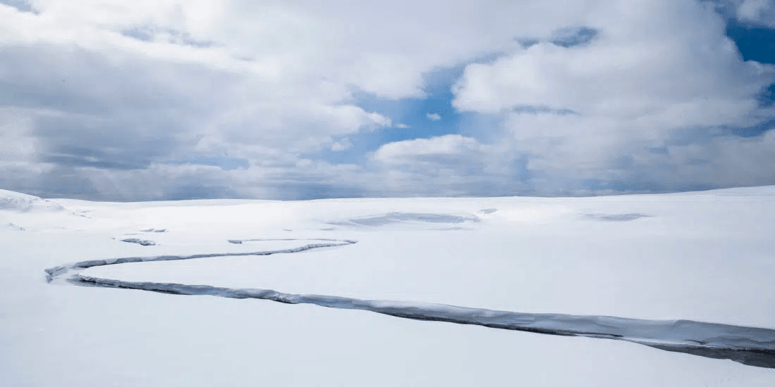 Big Sky Snowshoe Safari - Half Day - Private Tour