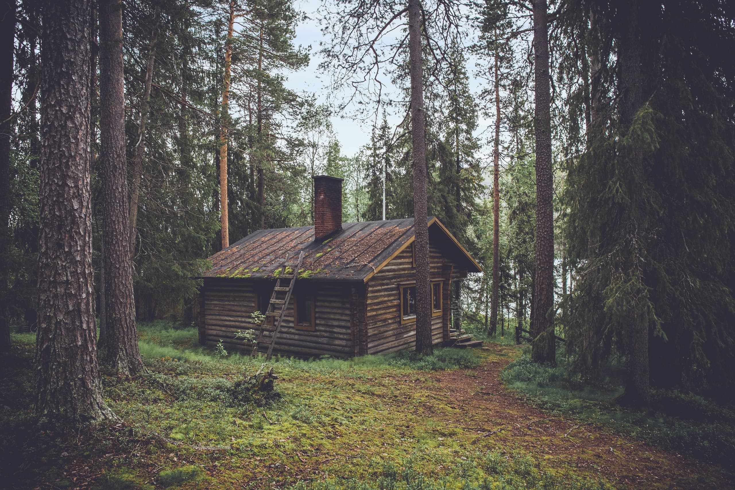 The Cabin