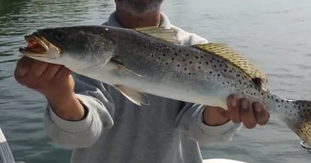 Inshore Fishing