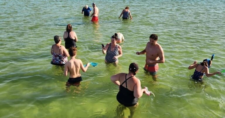 Public Sandbars & Dolphins Excursion