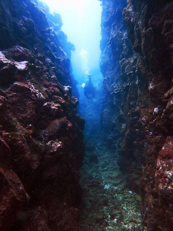 2 Tank Boat Dive - Hilo's Remote Tropical Reef