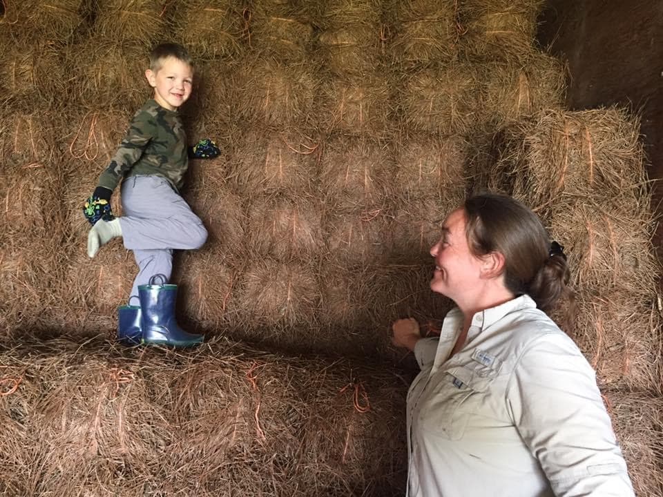 2025 Driveway Delivered Pinestraw $7/bale