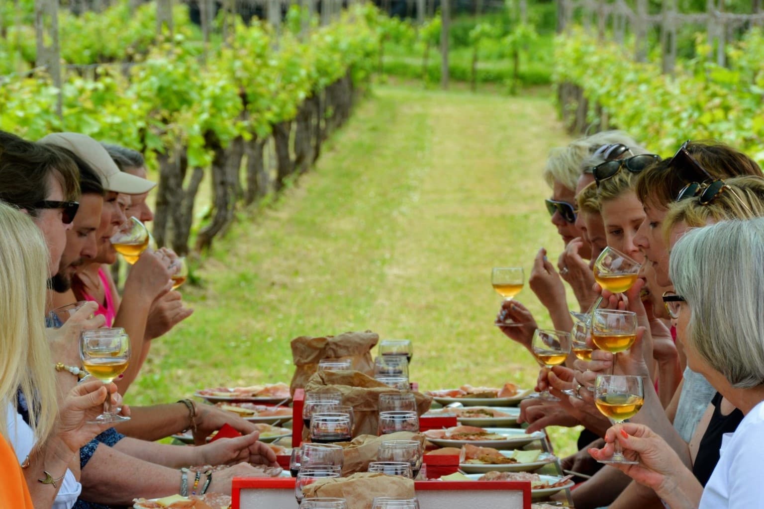 Easy wine tour by minivan