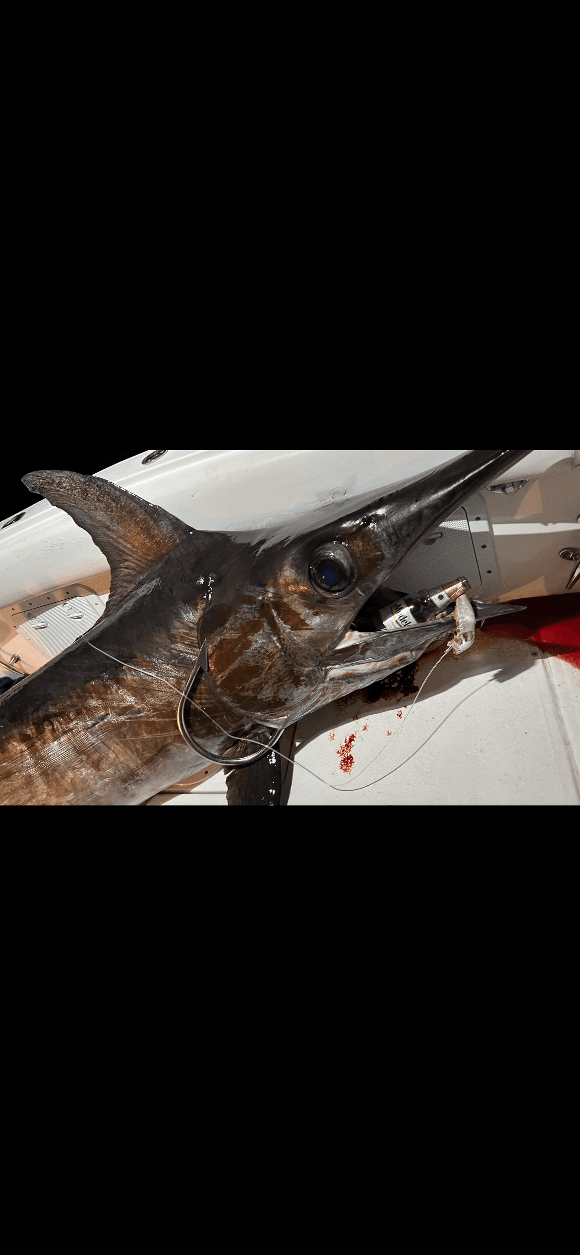 Swordfishing