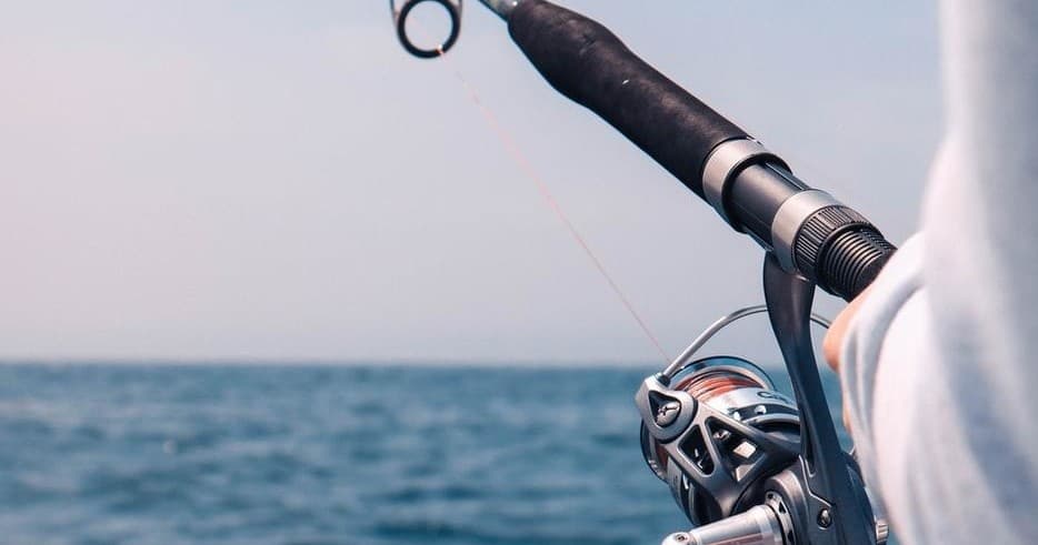 Pesca