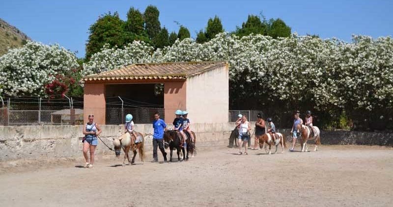 Montar en Poni