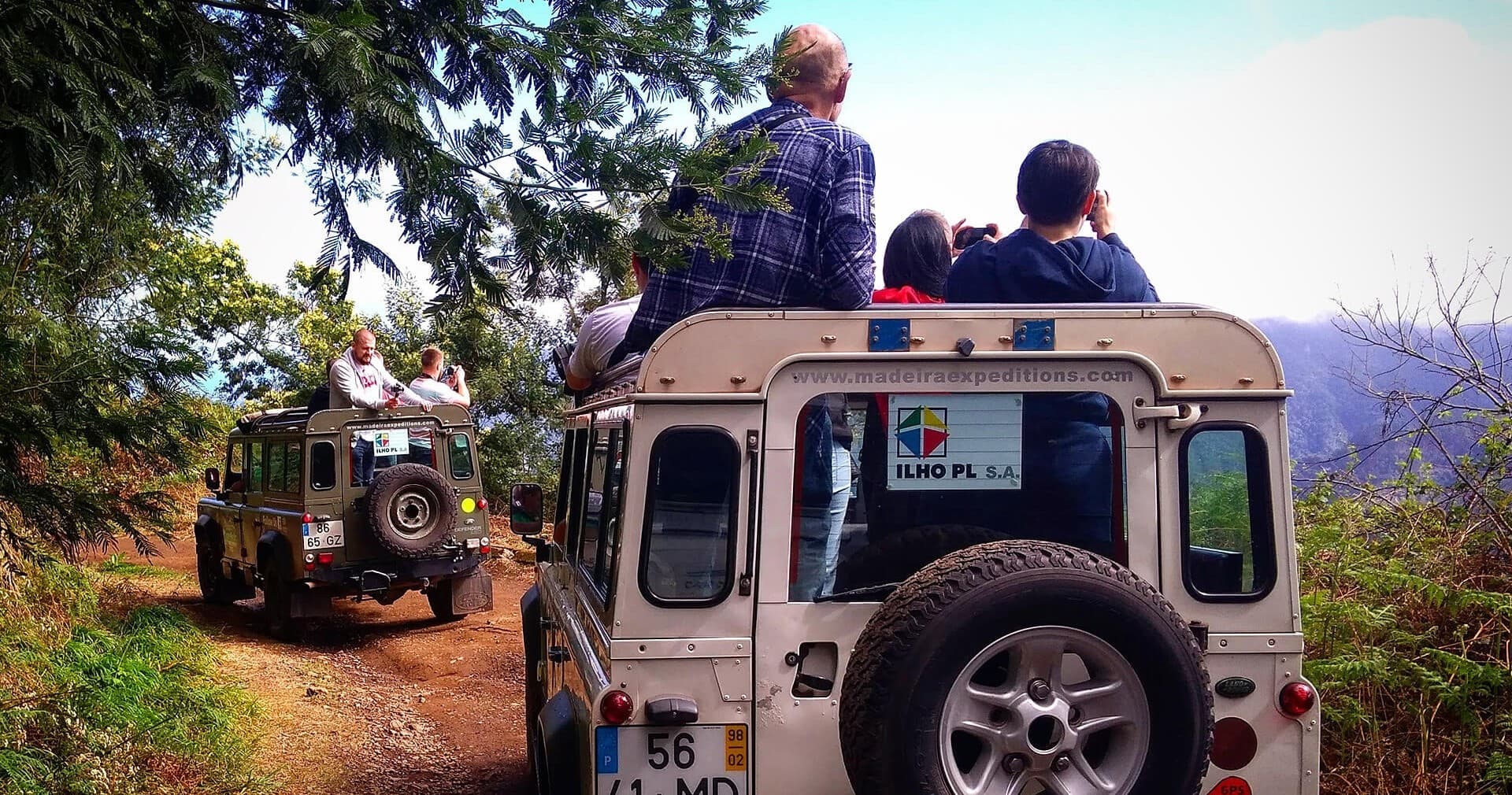 Wine Safari