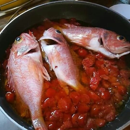 Private Fishing Tour Capri with cooking class on board from Sorrento