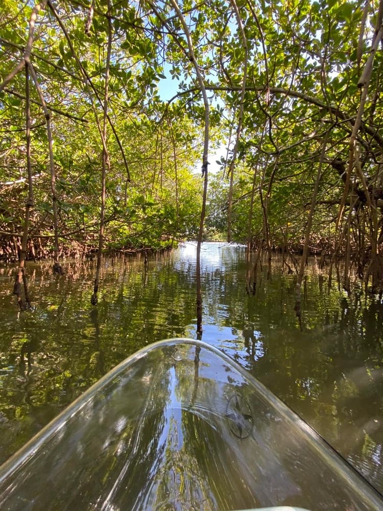 Round Island - Vero Beach Clear Kayak Tour