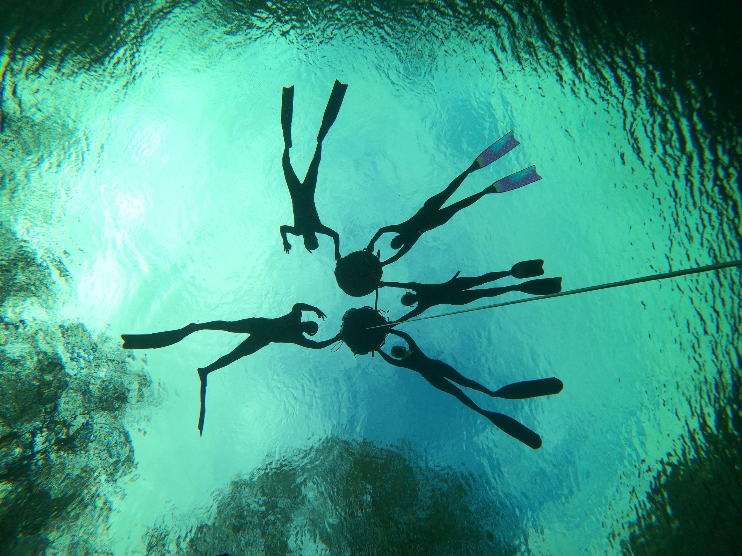 Freediver Course - Level 1