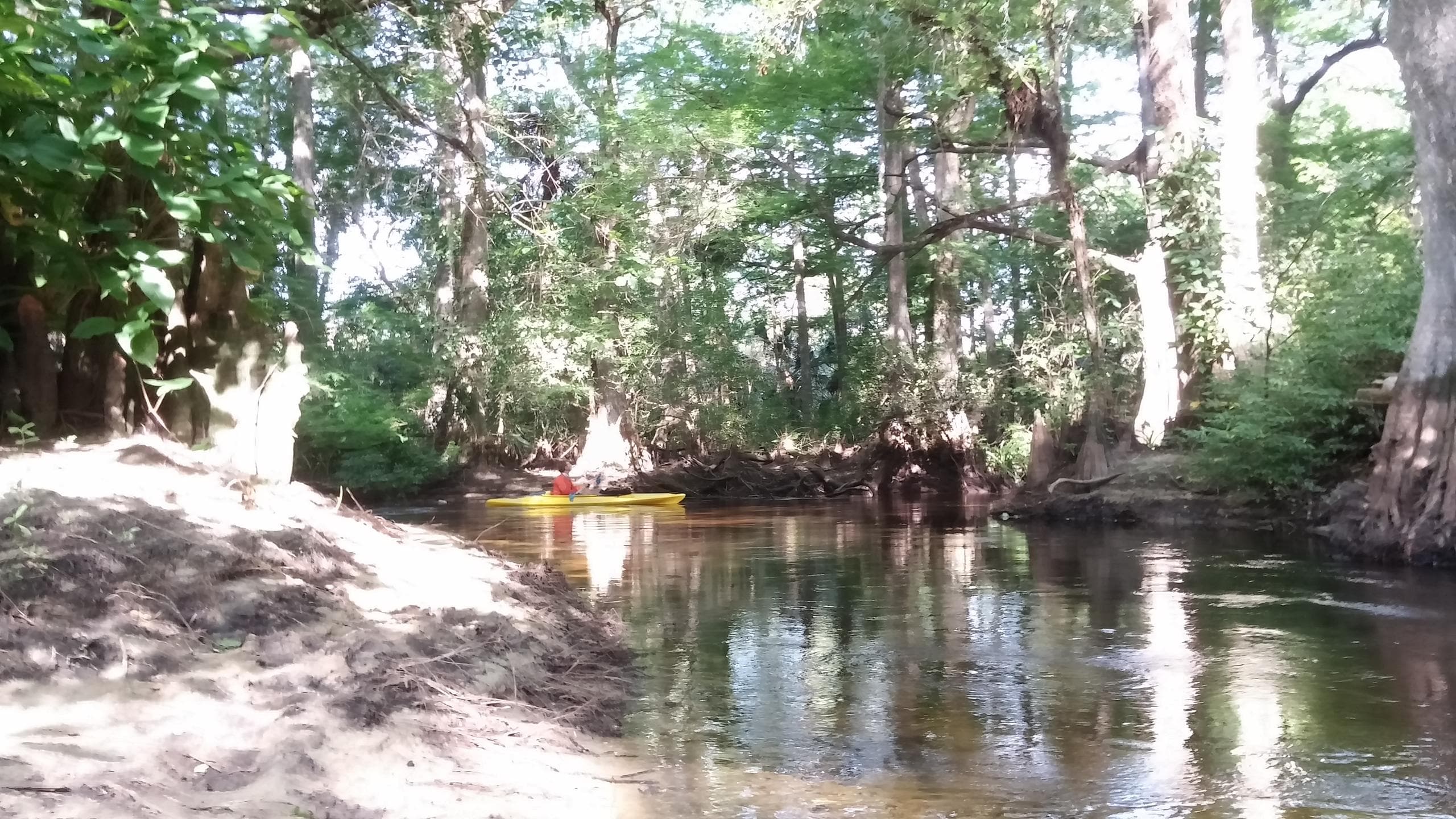 Half Day  Kayak & Canoe Rental - Riverbend Park