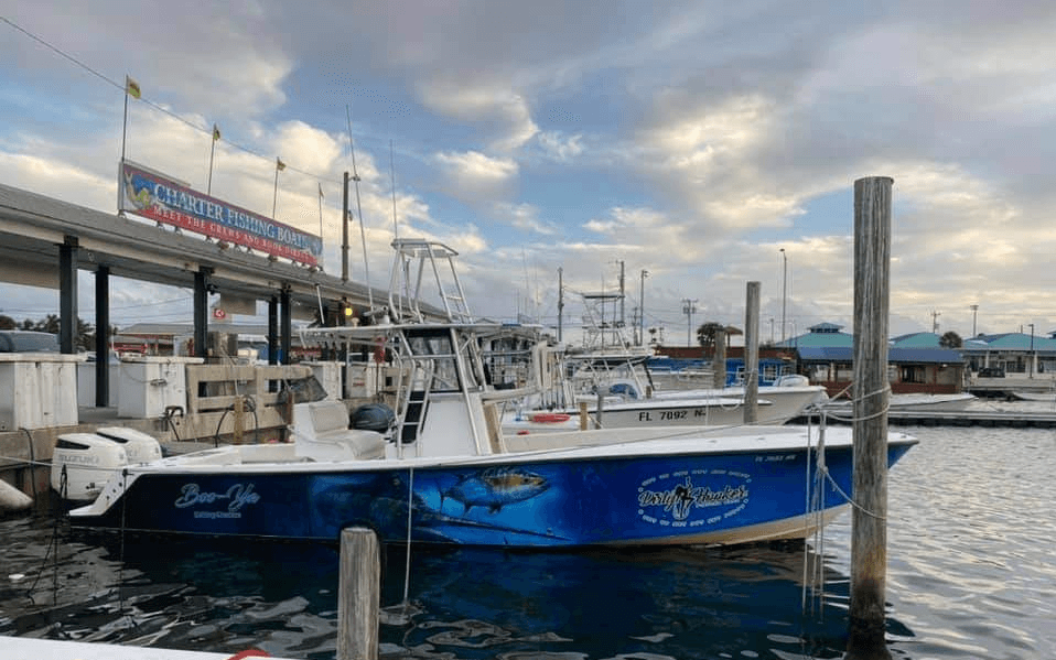32' SeaVee Charters