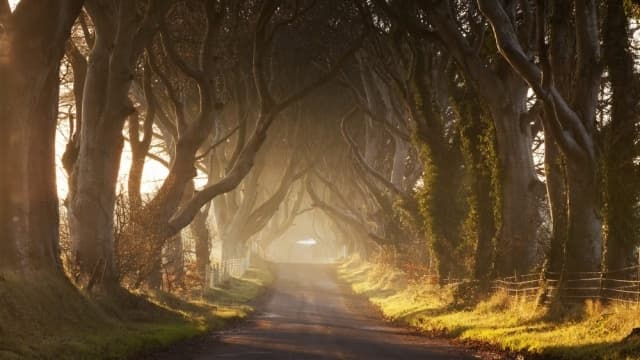 Game of Thrones - Private Tour