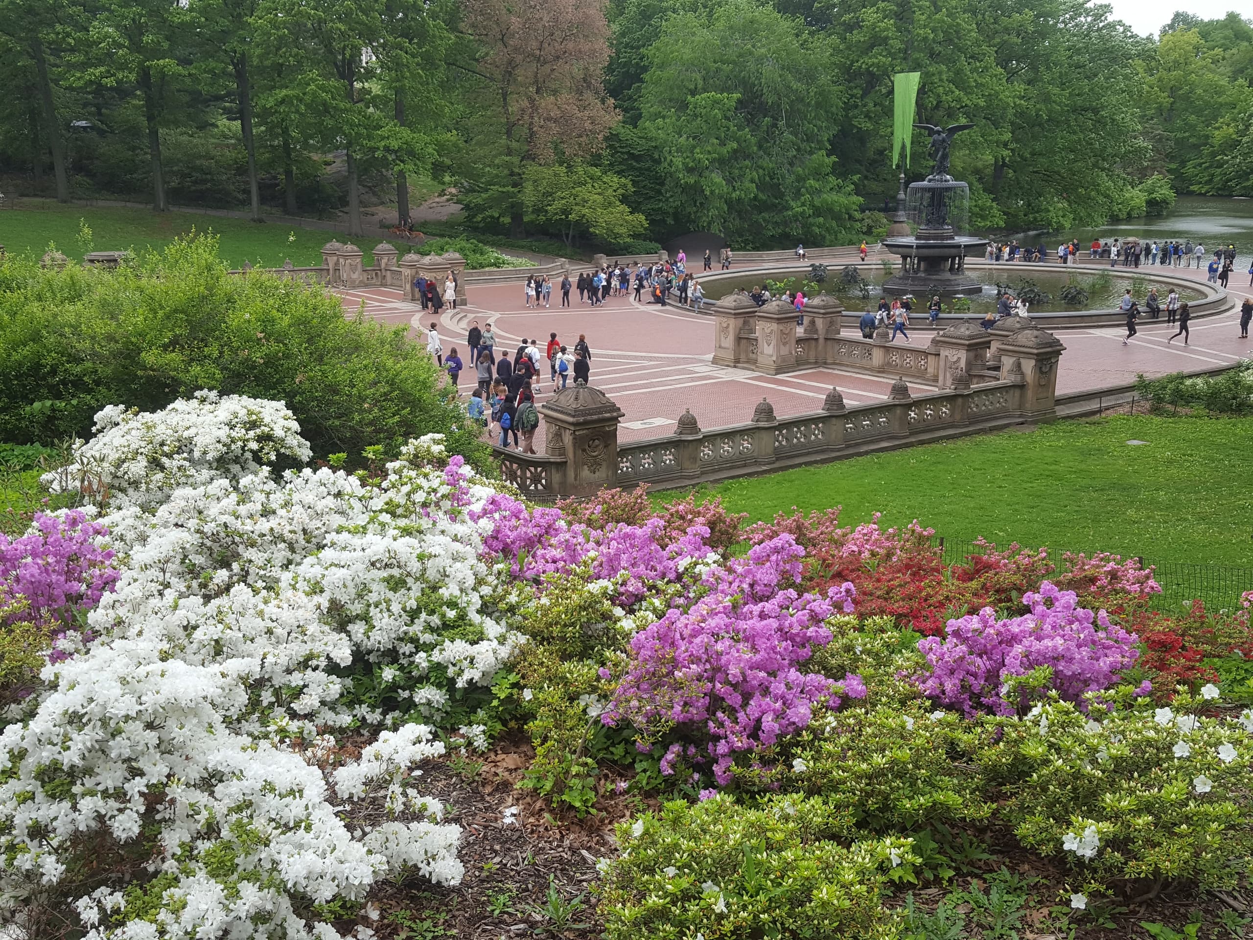 Central Park Walking Tour
