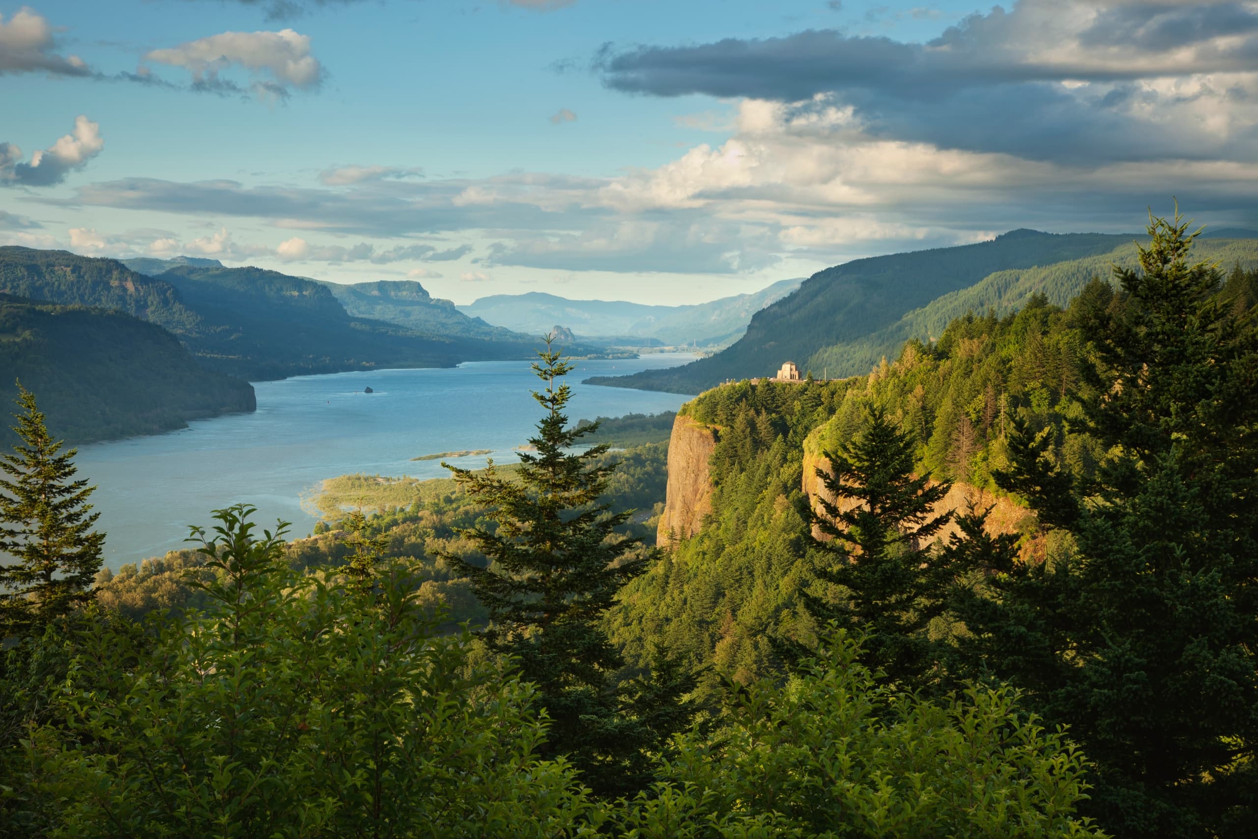 Public Columbia Gorge Waterfalls: Botanical Discovery Hike