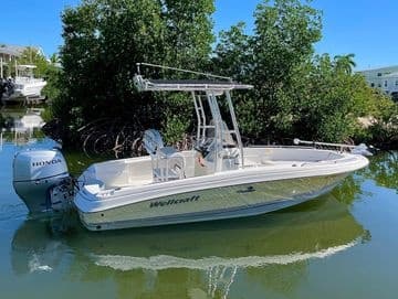 20' Wellcraft
