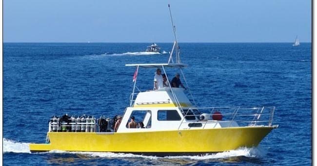 Private Tours