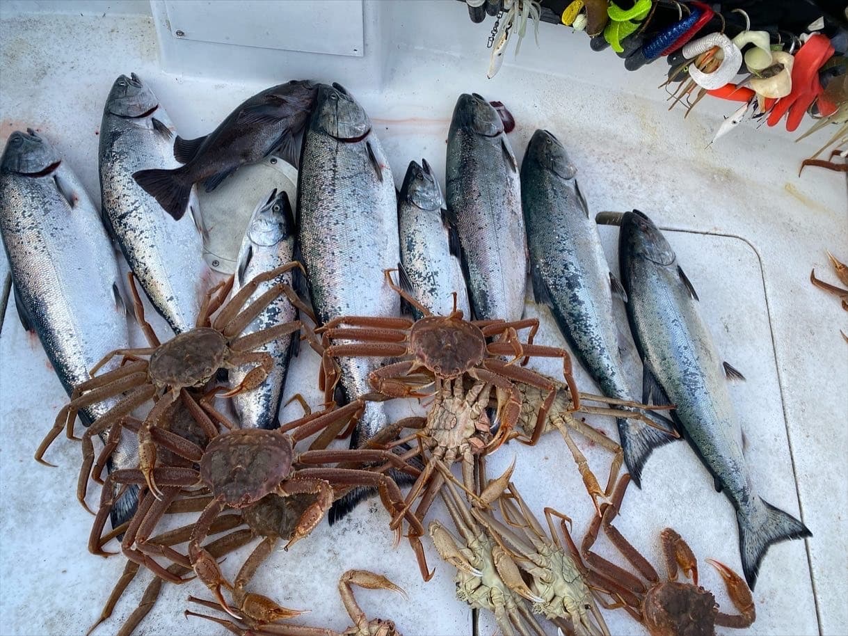 Winter Salmon & Crab
