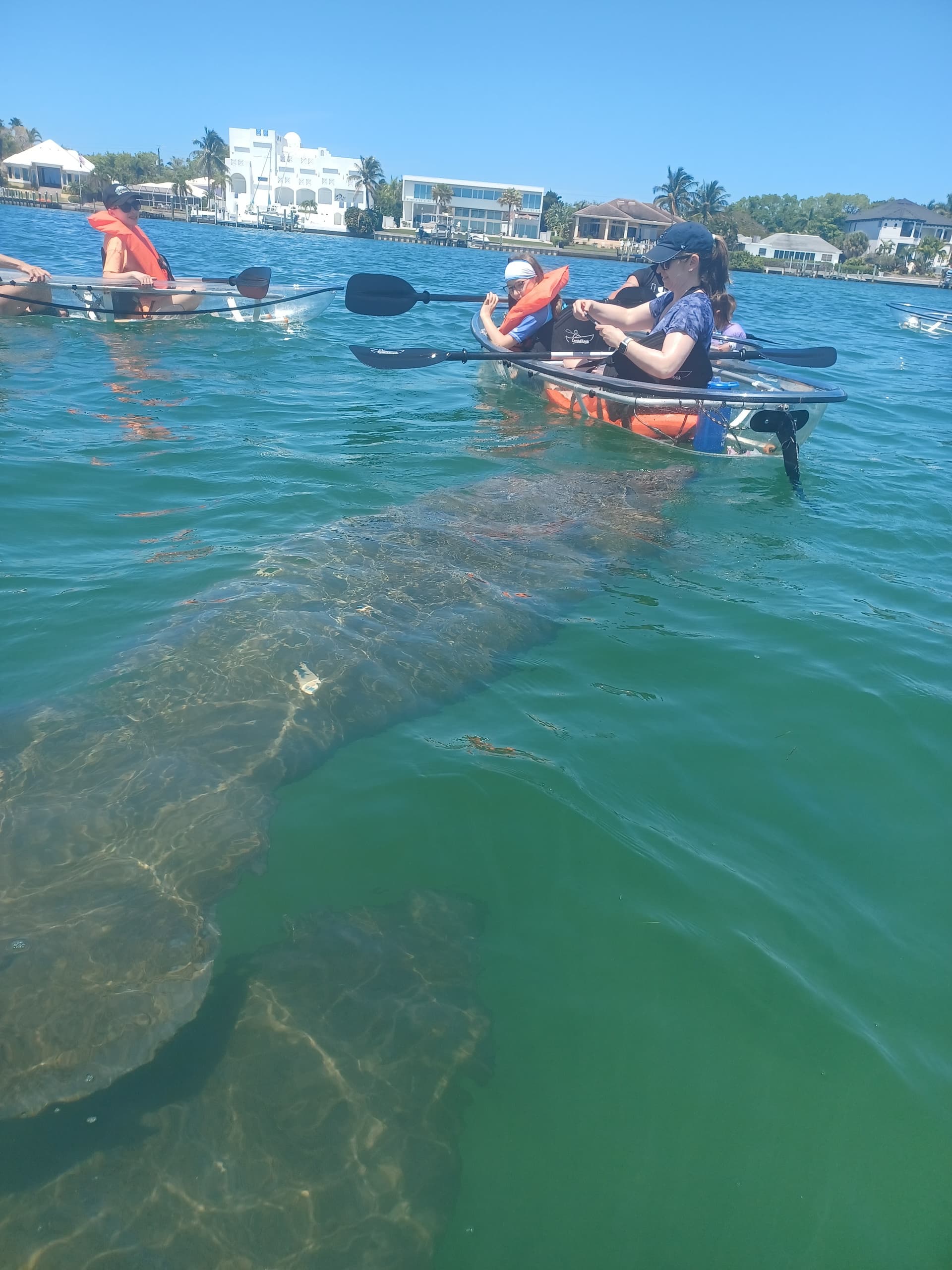 Clear Kayak Day Tours -  Siesta Key