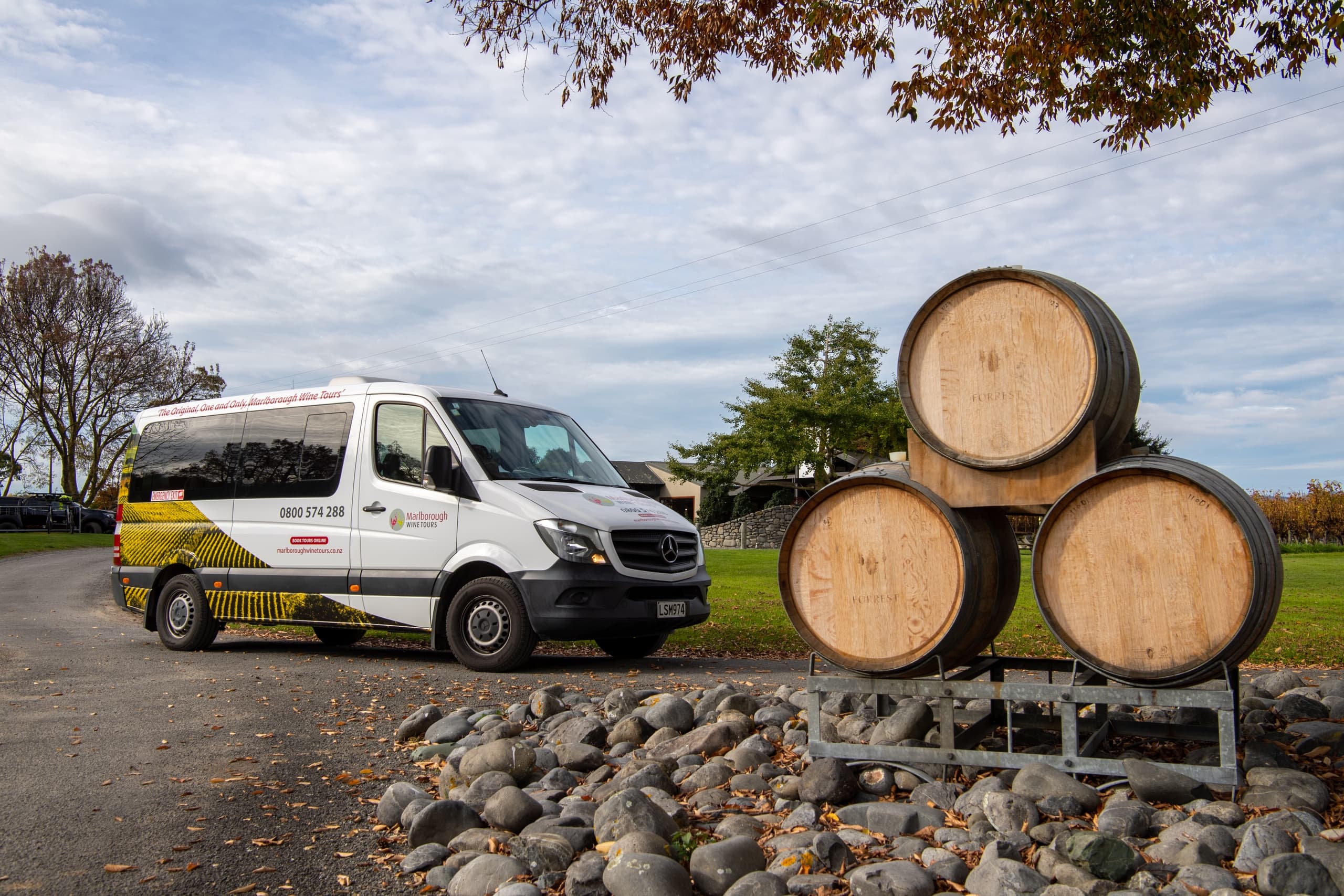Discover Marlborough Wines -Half-Day Marlborough Wine Region Tour