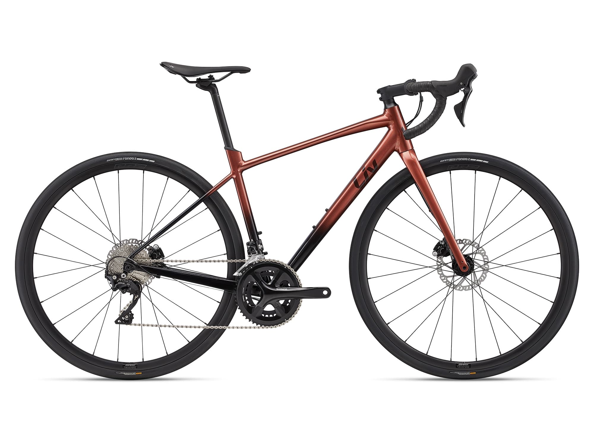 Rennrad lady S  (158-169 cm)