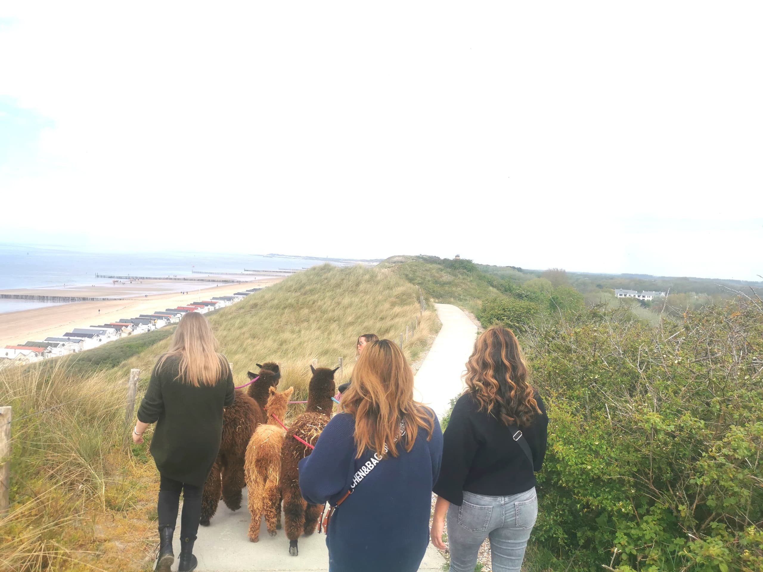 Natuur/ duinwandeling aanbetaling * nature/dune walk deposit