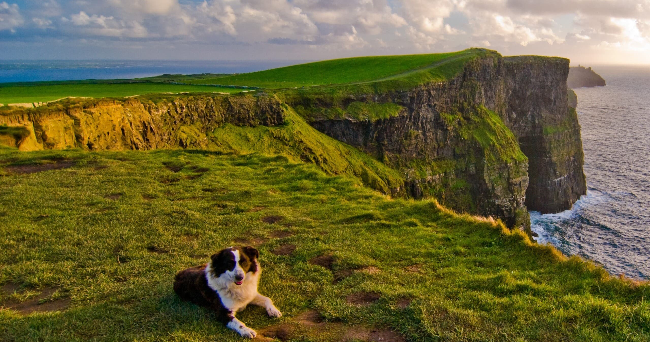 Cliffs of Moher day tour