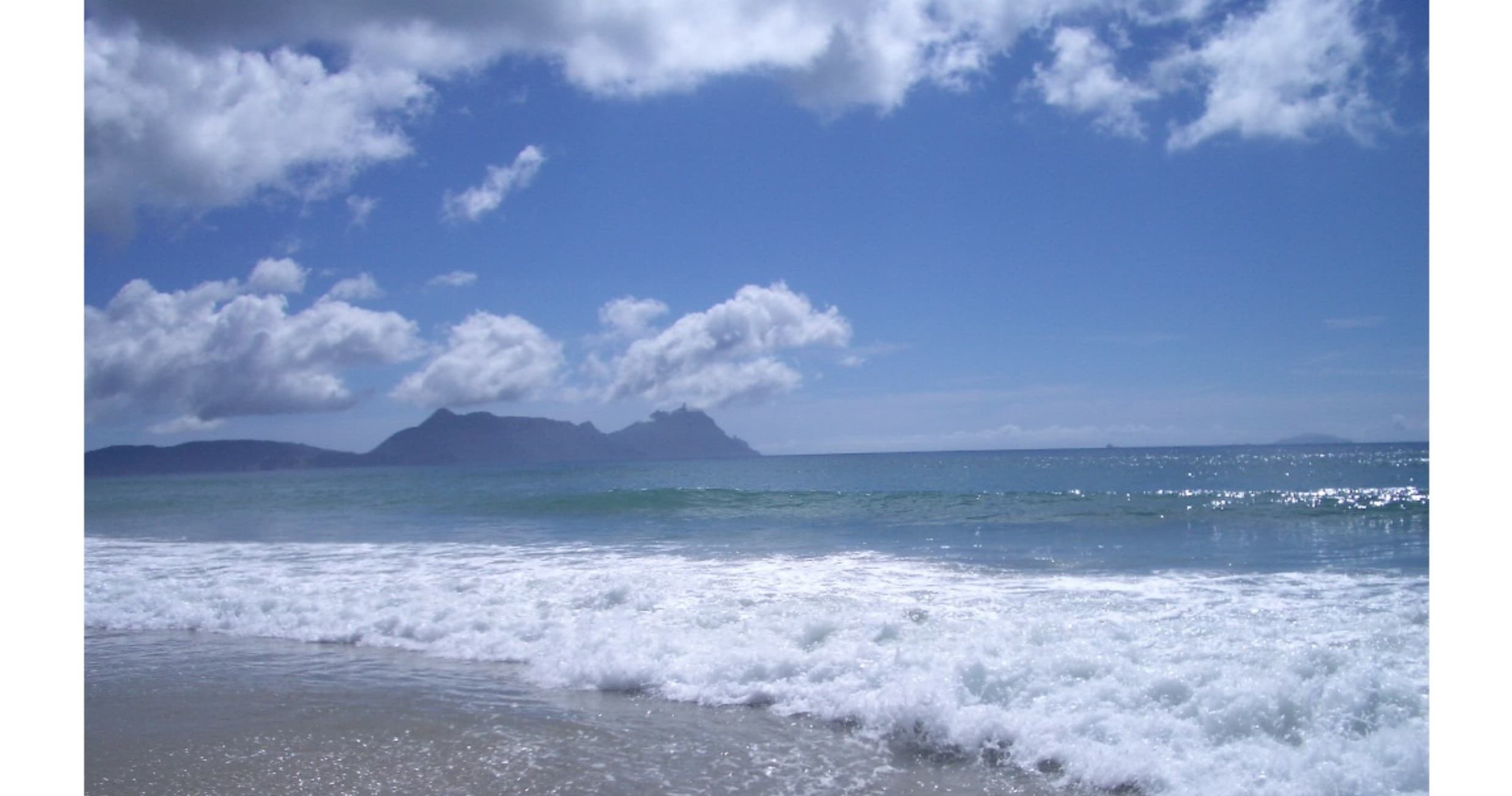 Auckland to Bay of Islands Private Tour