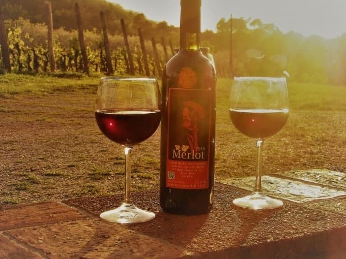 Lucca: E-Bike and Wine Tour - Private version