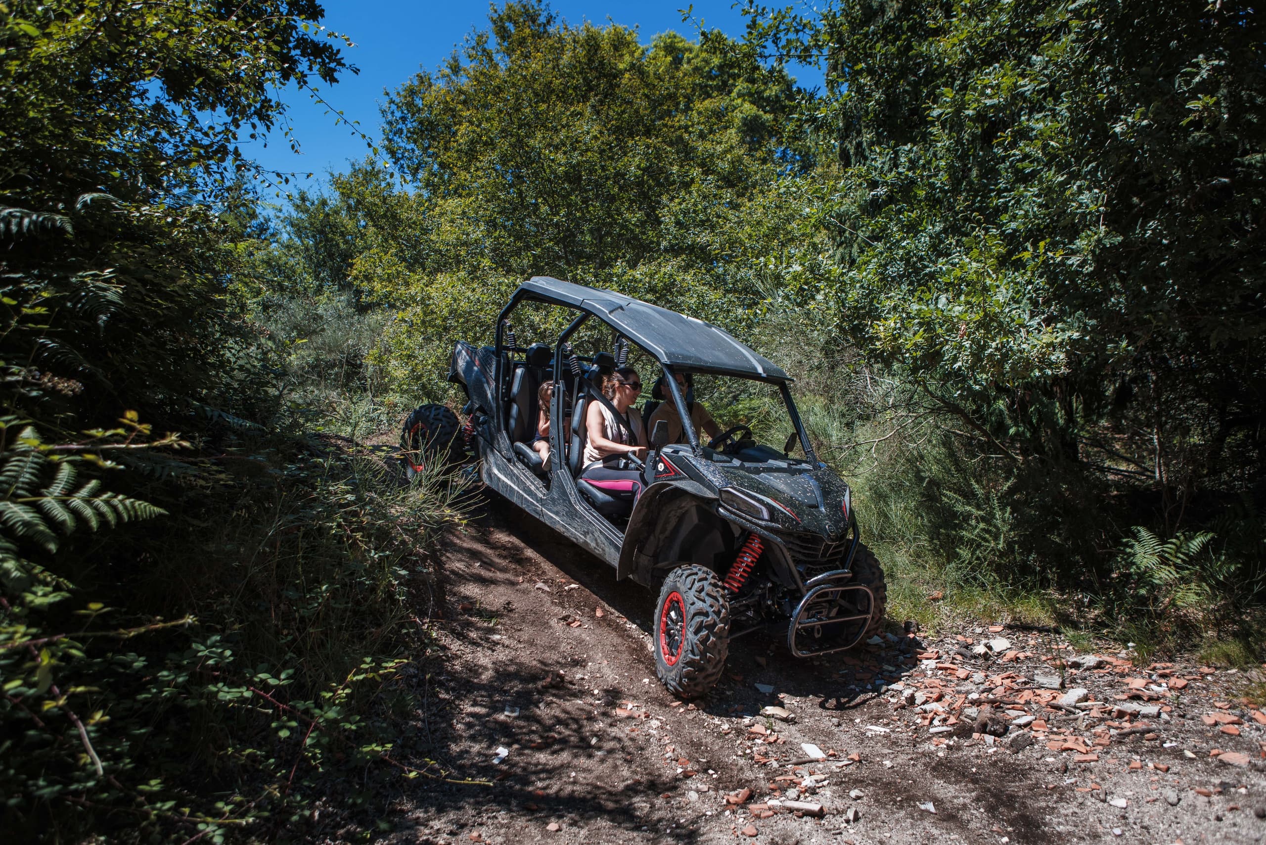1/2 Day • Buggy • 4h