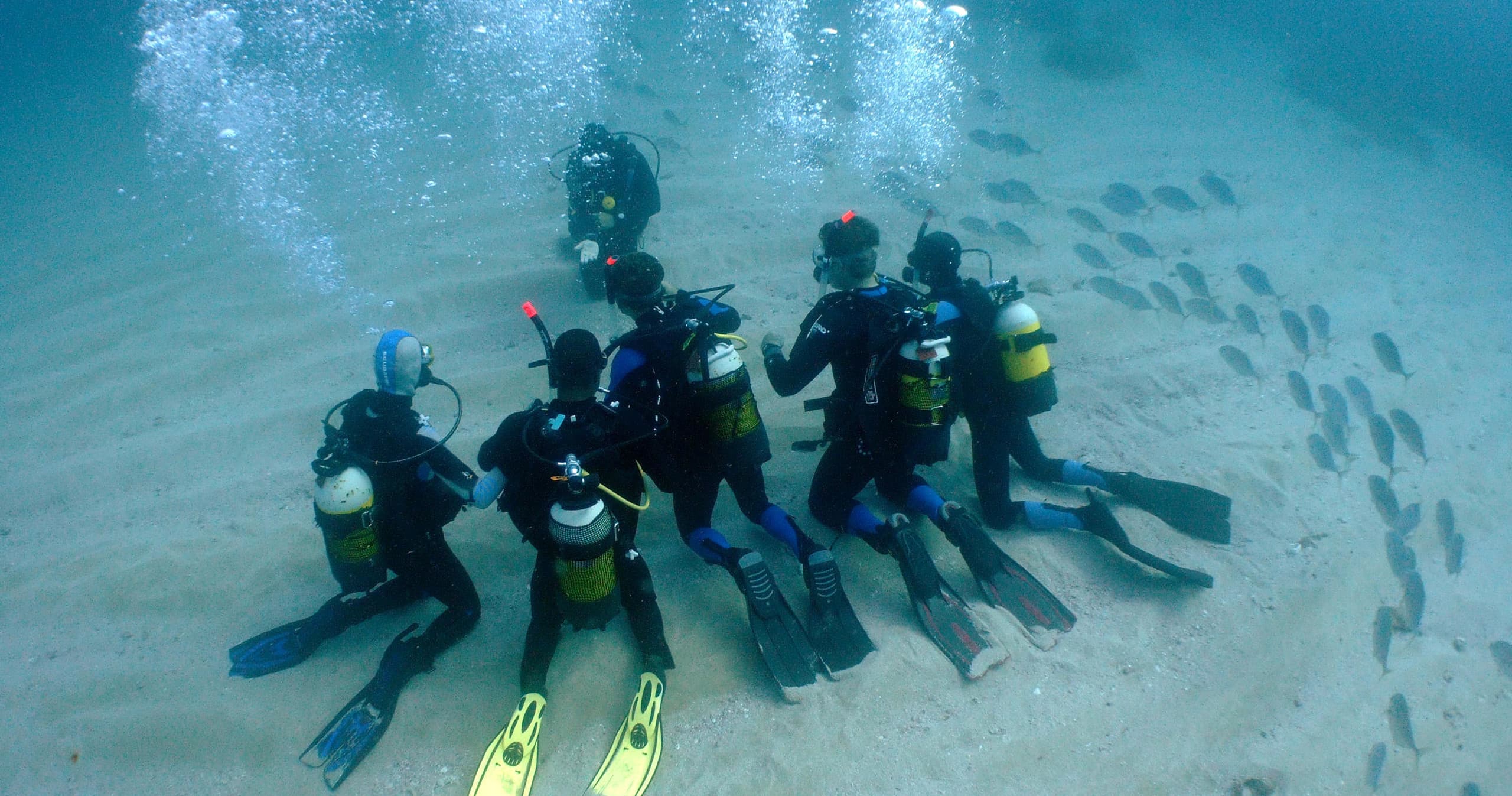 Bautizo de buceo y curso de biología marina en l’Ametlla de Mar