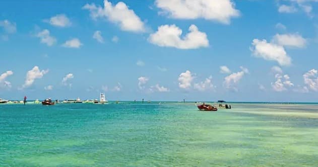 Sandbar & Beach Charters