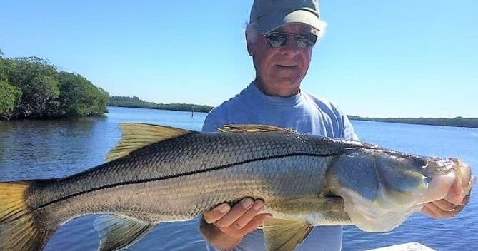 Four Hour Tampa Inshore Fishing Charter