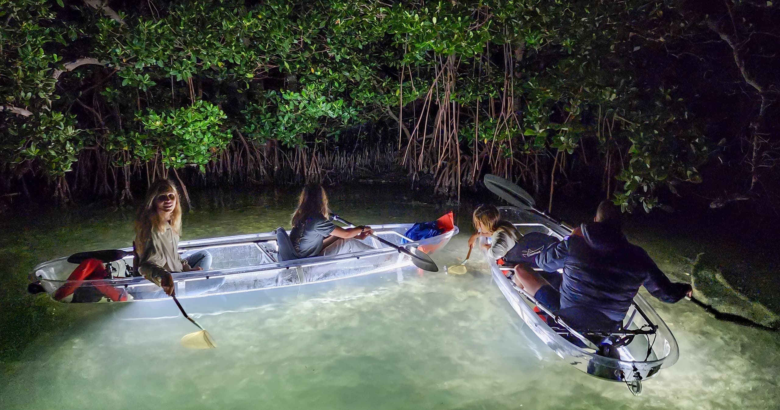 Clear Kayak L.E.D. Night Tour - Sarasota