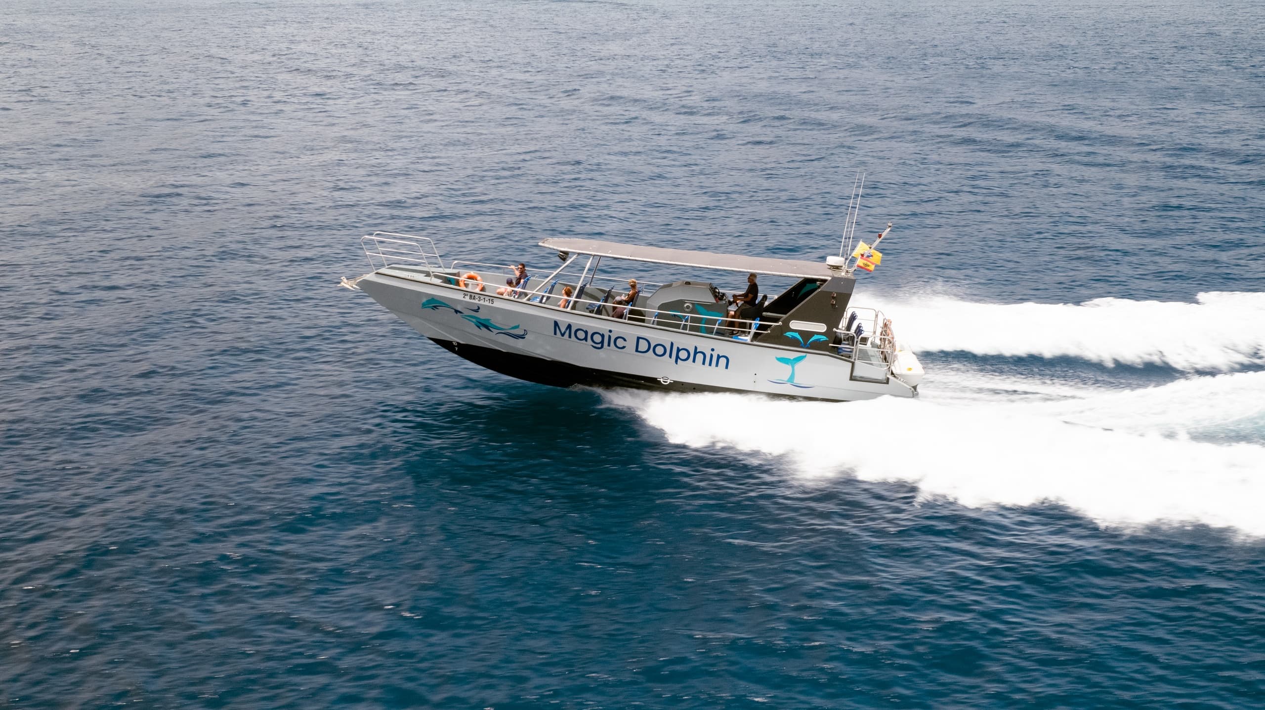 Avistamiento de delfines en Fuerteventura a bordo del Magic Dolphin