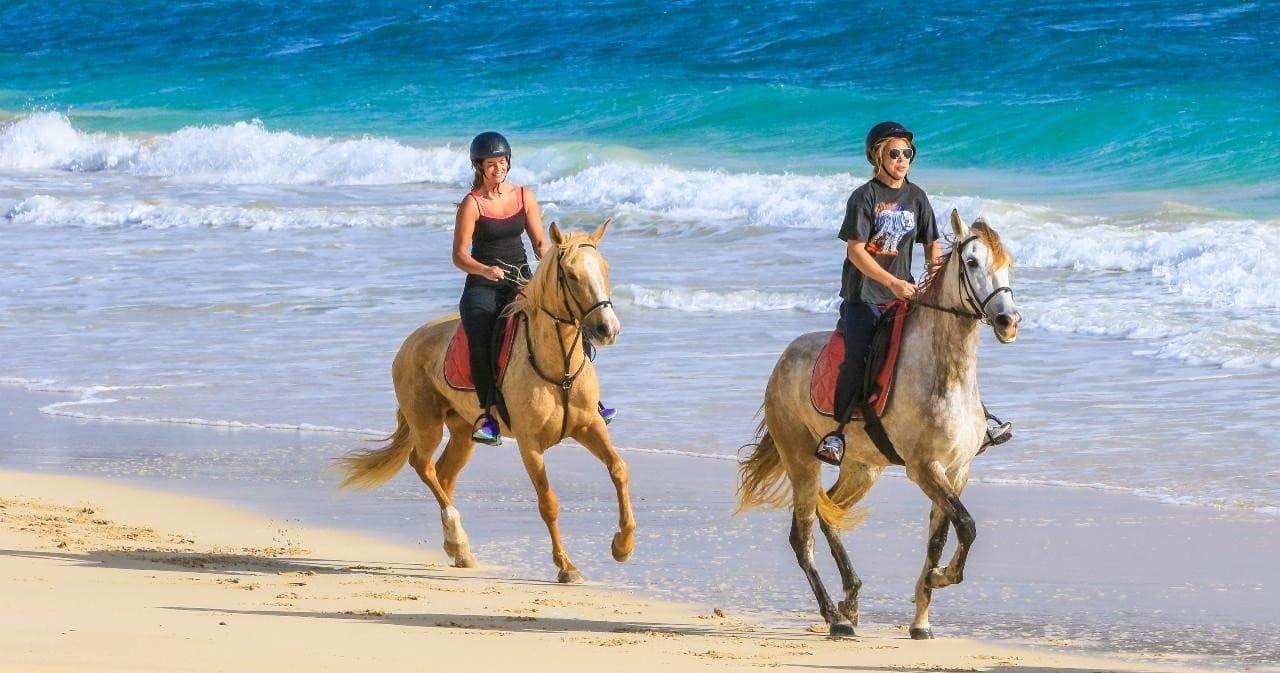 Private Horse Excursions Salt Flats & Kite Beach Trail