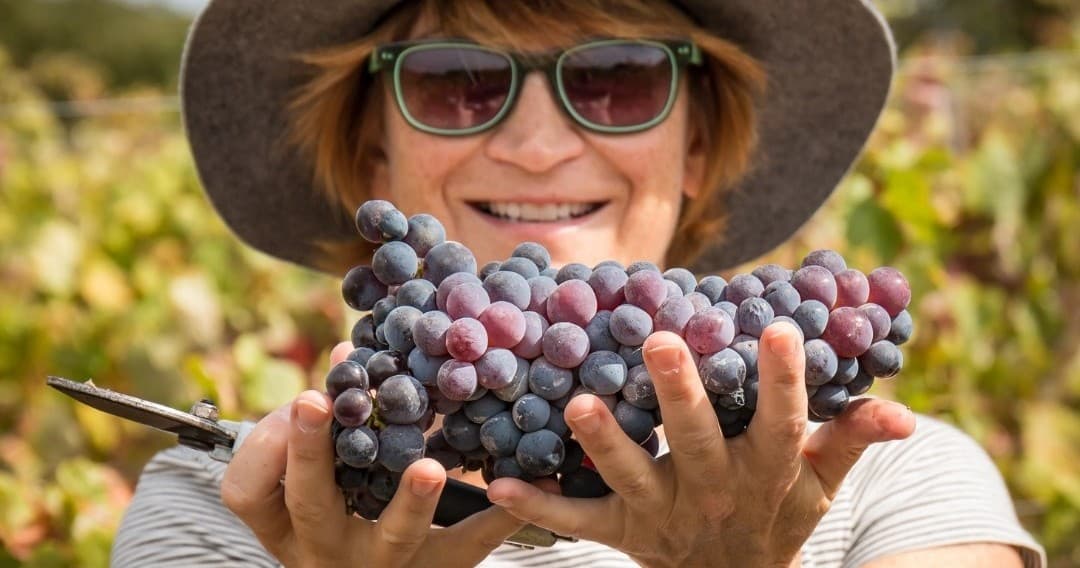 Carcavelos Wine Tasting