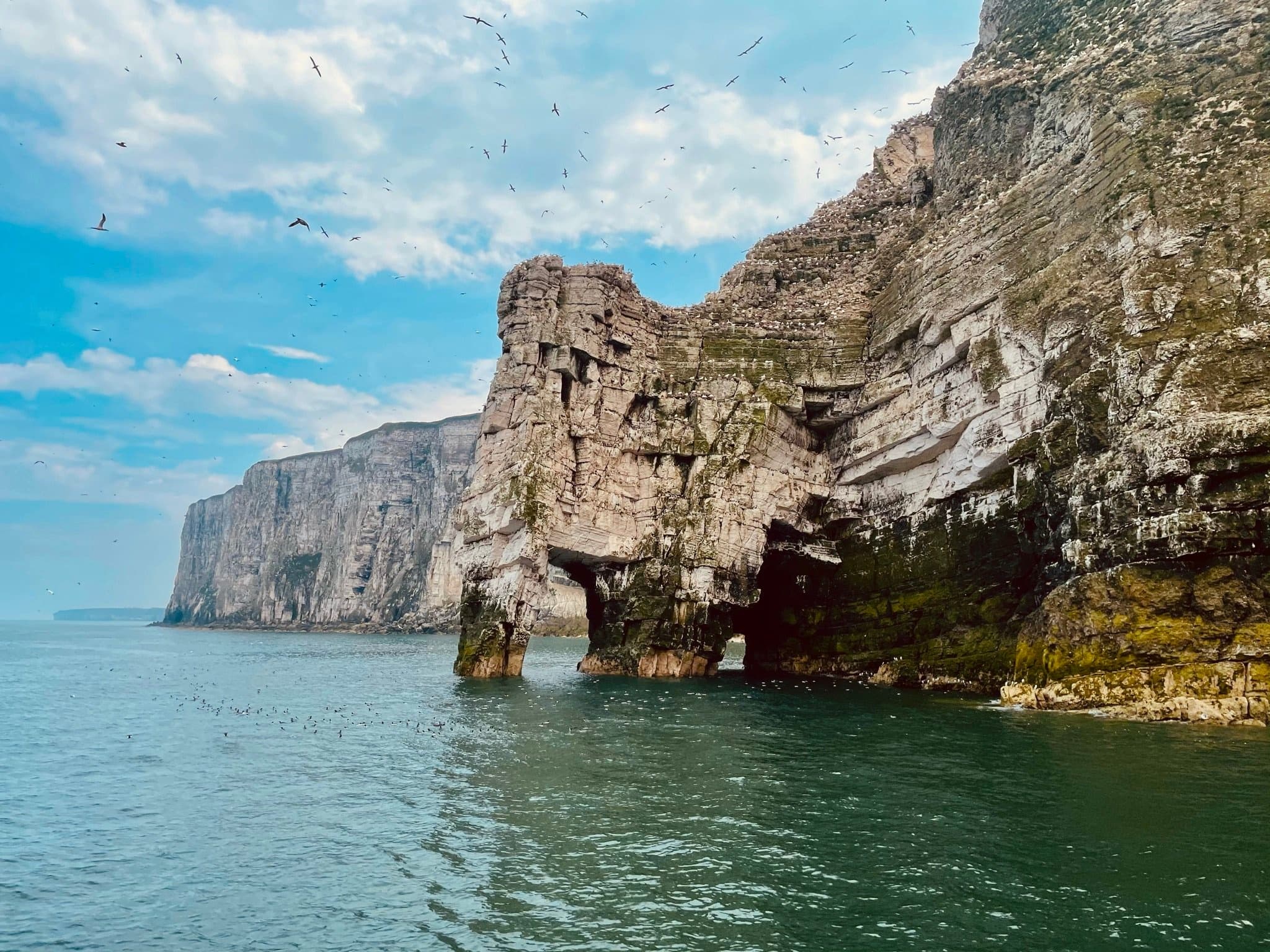 2hr 30min Bempton Cliffs Cruise