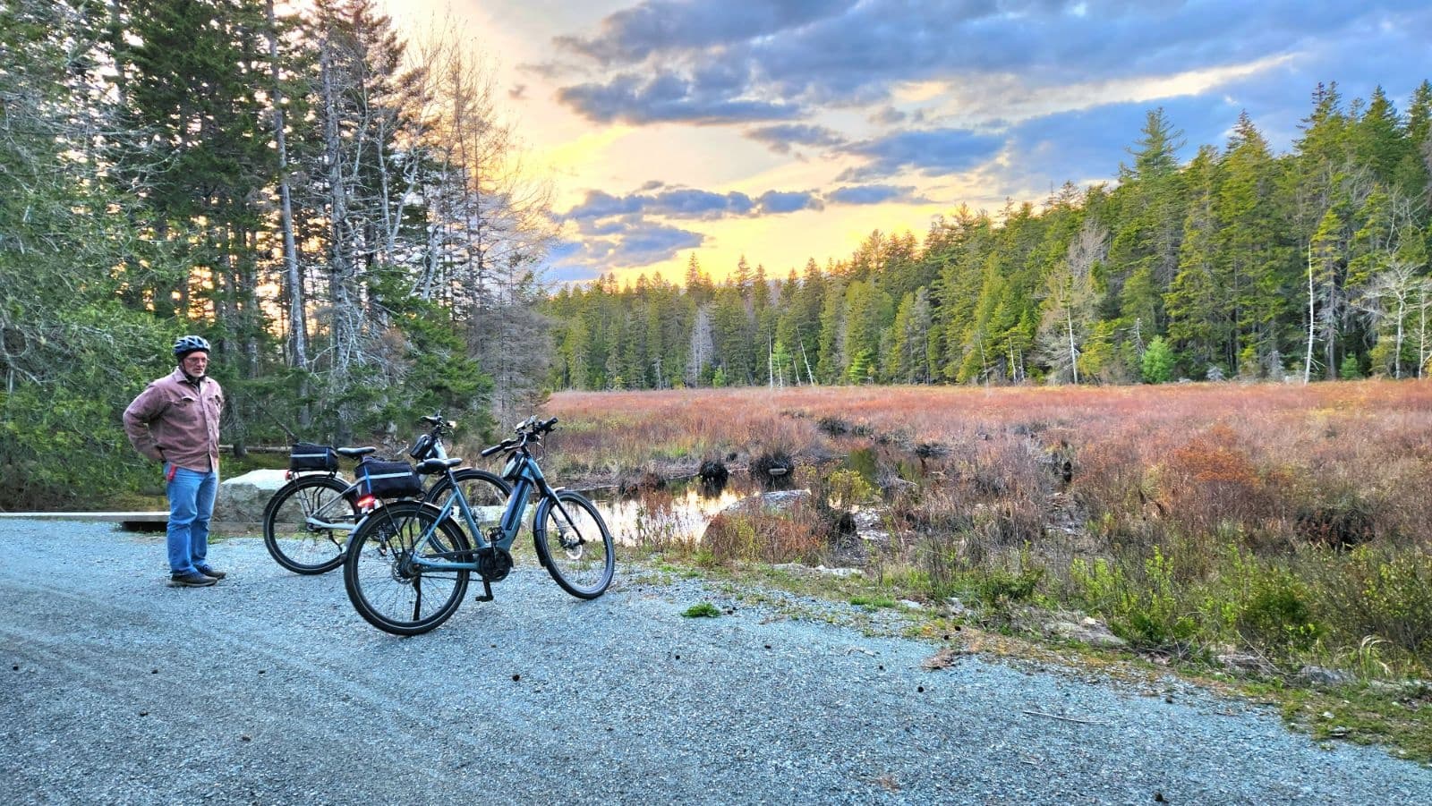 7 Day Bike Rentals