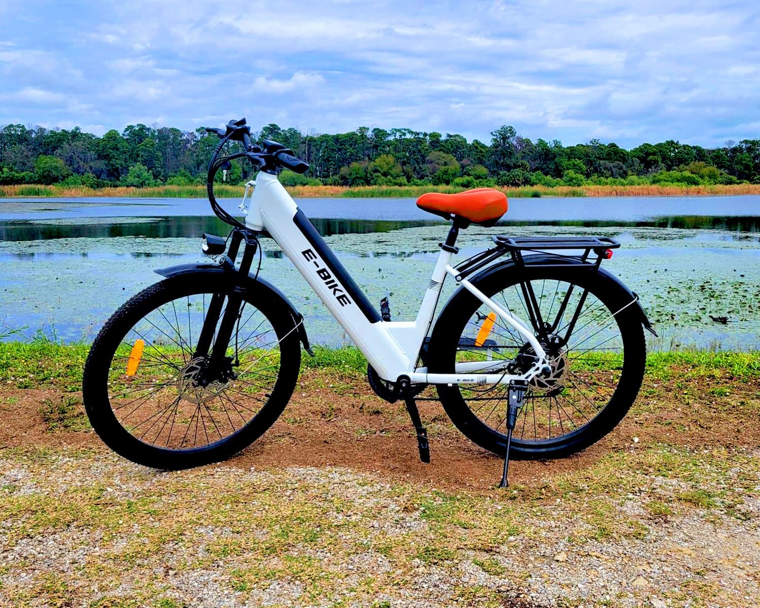 Women's eBike