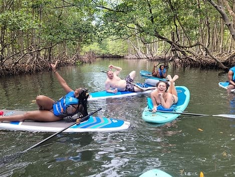 Mangrove Jungle Exploration on SUP/Kayak
