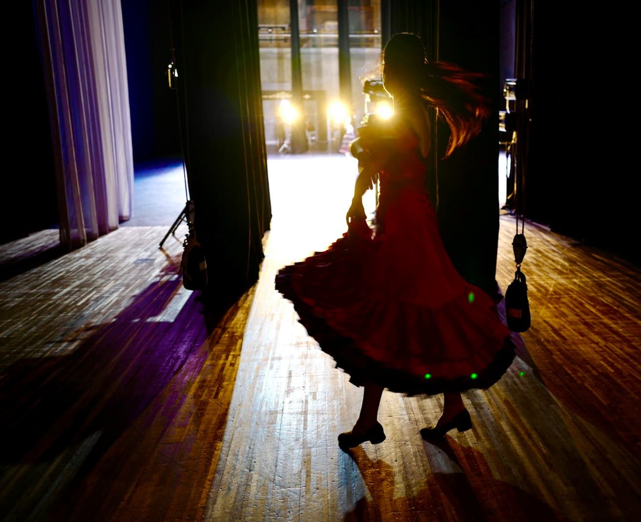 Espectáculo Flamenco