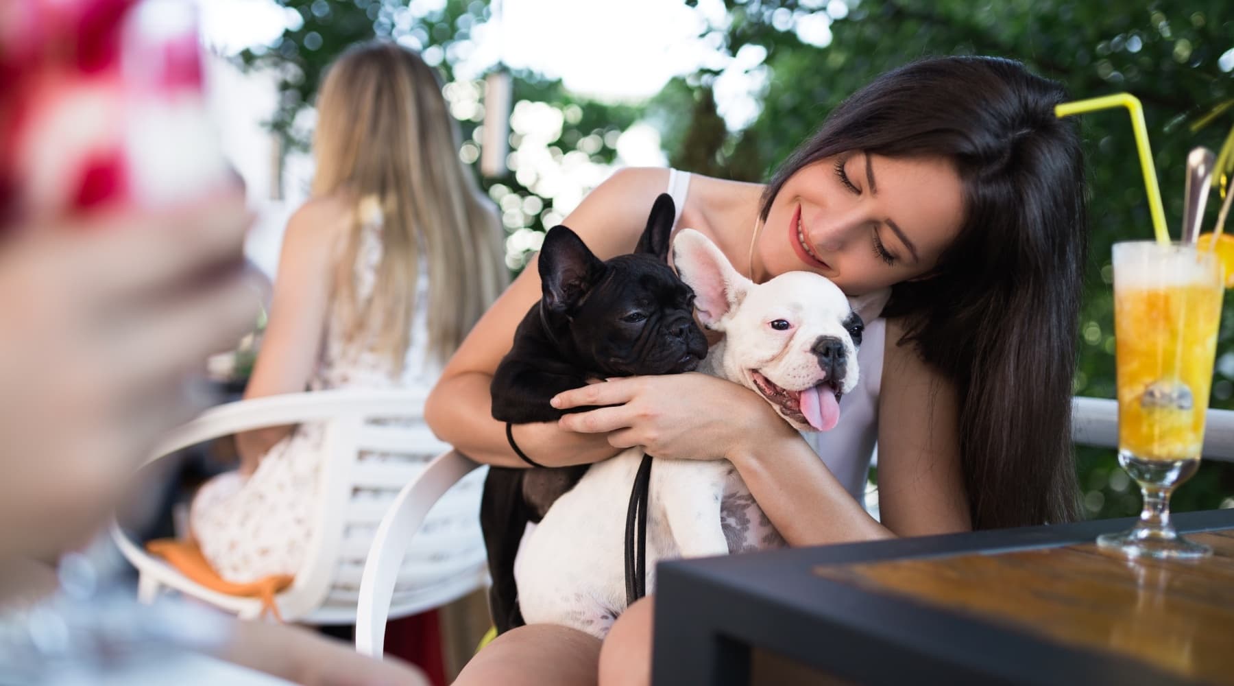 Dog-Friendly Food, Art, & History Downtown Tour Hollywood, FL