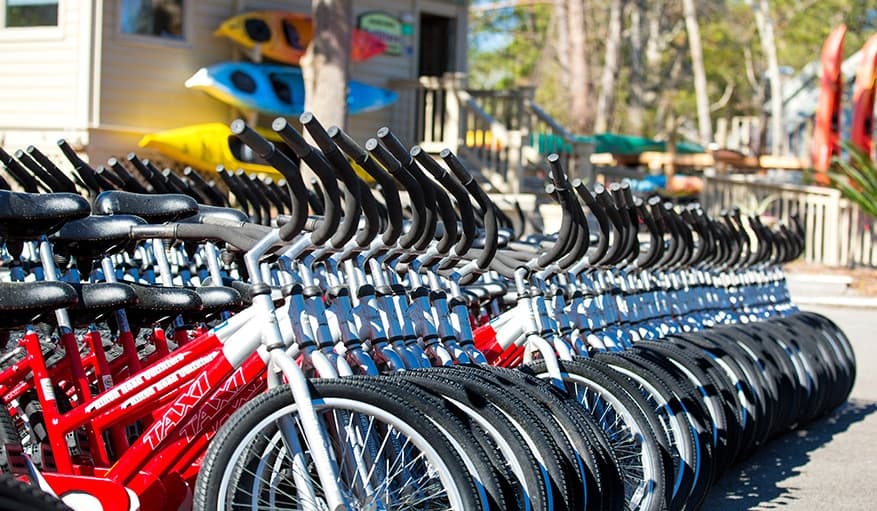 12 Day Bike Rental