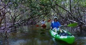 Ultimate Double Kayak Rental