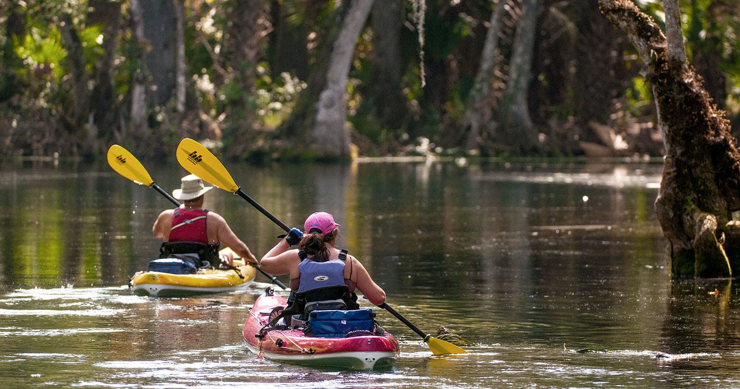 Two Hour Paddlesport Rental