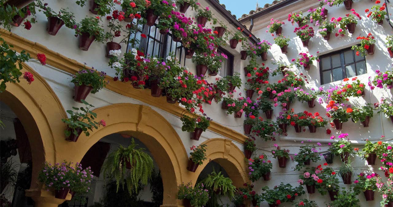 Visita Guiada a los Patios Populares de Córdoba