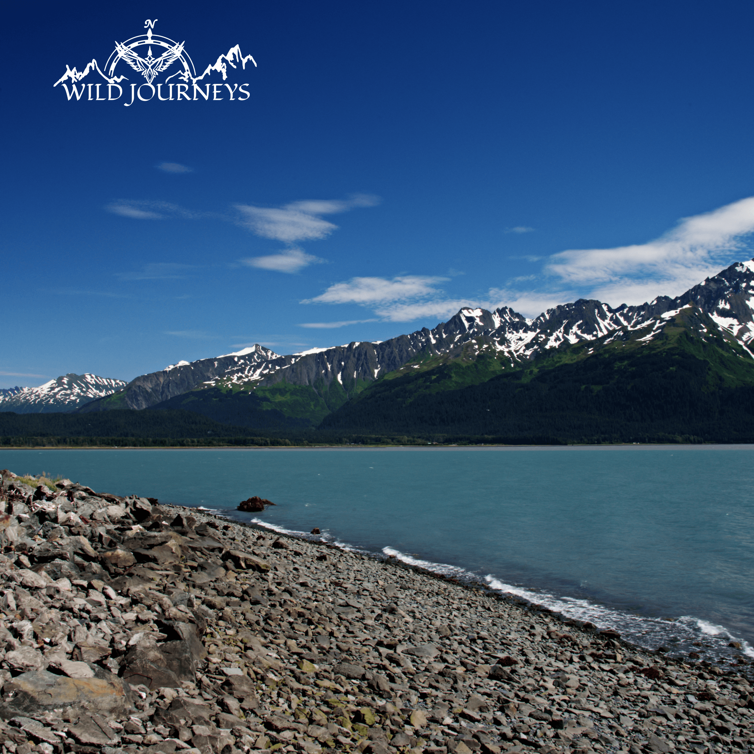Private Transfer Tour ~ Anchorage|Seward or Seward|Anchorage