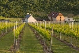 Sussex Wine Tour - For the Wine Enthusiast