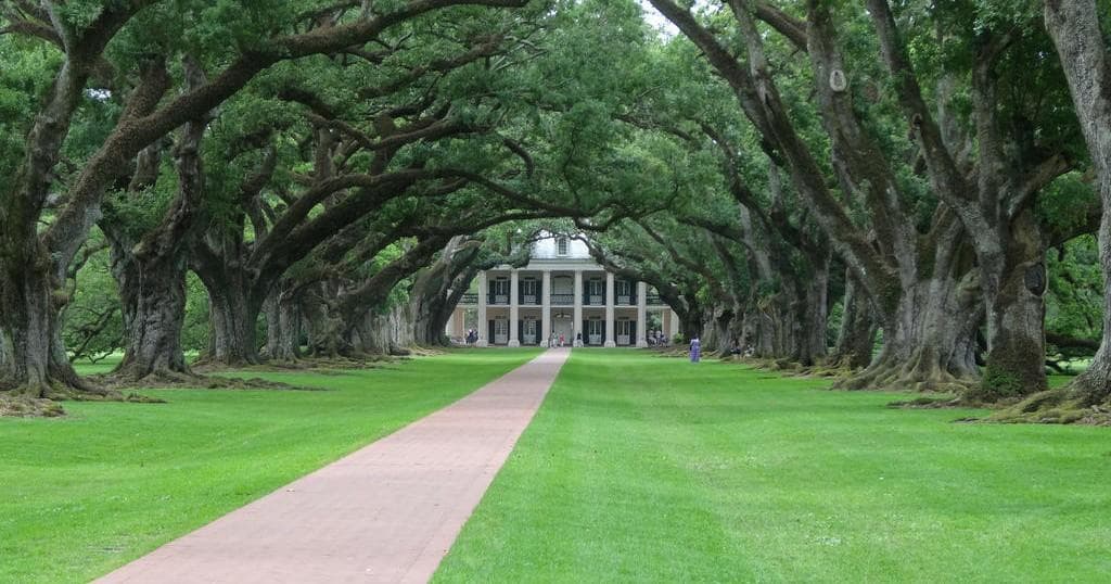 Oak Alley Plantation + Swamp Tour • Small Airboat Ride